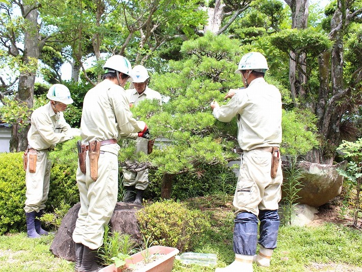 会社概要 有限会社吉永造園建設