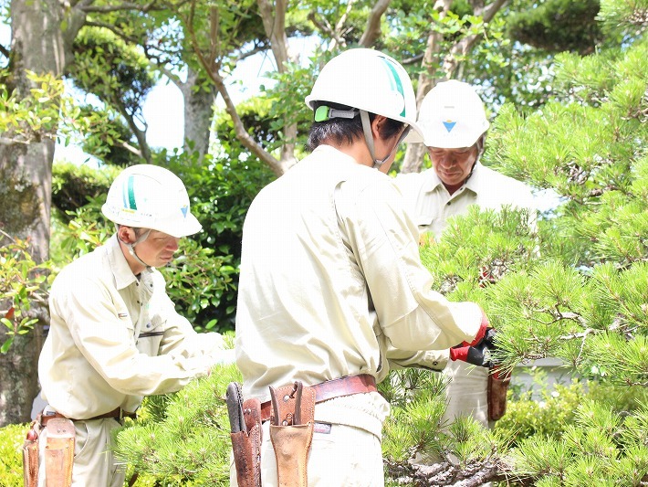 業界未経験の方でも安心